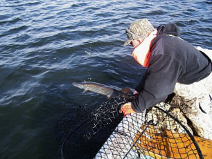 5BC0511E-4A06-4F46-B0E7-D9953AFEC52F