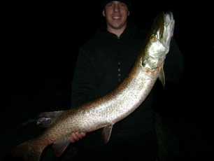 5C6504DB-D708-4D4E-9FA9-A403333D2656