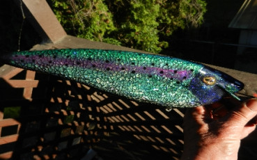 5C9735CD-AB6C-4330-A51A-22BC83D81505