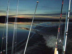 SANYO DIGITAL CAMERA