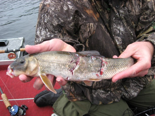 5CDD287F-CB53-47CB-B8B0-CE51301446CD