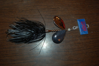 5D02C55E-7654-435D-94D3-71DE589C7148