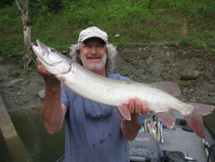 5D0E0757-11B0-4FAB-8750-A659C3D7D448