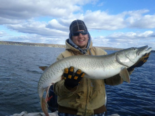 5D266088-10A3-44DE-BCE0-854B1B85E019