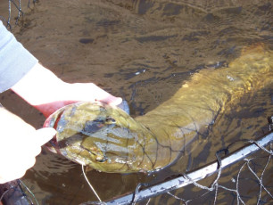 5E1242C1-CA45-409E-895D-04090DC32A2E