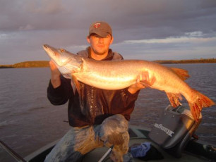 5E3C5621-4976-46D2-8AD0-1A7DE9C830A9