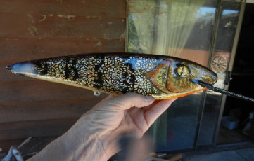 5EA01DAC-8C32-4370-8779-2E95117507A5