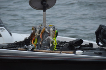 5F743D39-5558-4A1B-9BD6-1D105598FE74