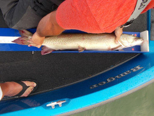 5F76B3C9-256E-4824-A57A-AFEC774103ED