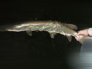 5F8CE4D1-0E61-4791-807C-764D48220DCF