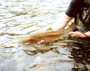 5a0ea8bc-3b43-404e-854a-462d514069aa