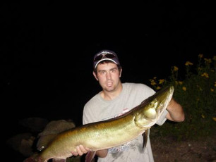 5a43499e-04bd-4609-a501-559176da0ada