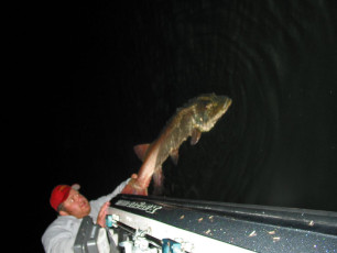 5b679fed-f126-4756-8189-24f916da07e9