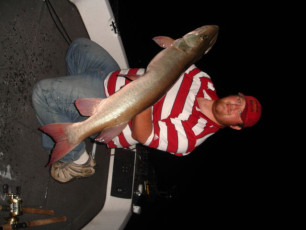 5b875fe5-7d69-489f-976f-020ab147f095