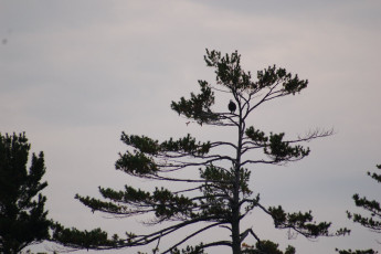 5c9022c3-4a1f-4b41-91d9-cf3c8a0c792f