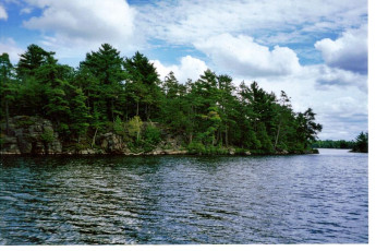 5d0e671b-70f8-4e69-8dcd-163e289e1c89