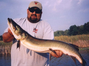 5d33dcb8-20c1-4e4e-aa60-53560aa30368