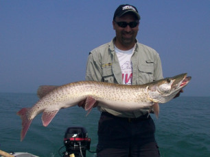 5d994a5d-59ee-466a-b919-c52c99beb02a