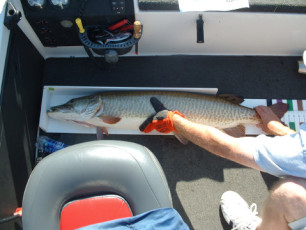 5d9a0bc6-709b-440a-88b0-58781c47397f