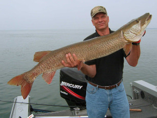 5e4c5143-50dc-443e-aea9-3eb503455a19