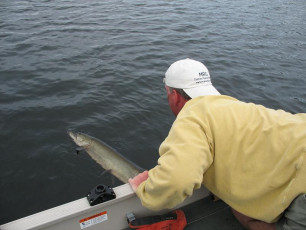 5fb67850-f263-4370-97d1-06b1b8ed262f