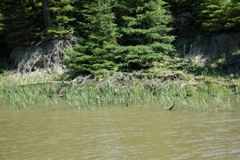 5fb6d472-8891-4c20-8061-111f9677298d