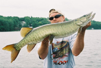 602434a3-232e-42c0-bf32-314cf1fc5323