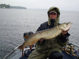 60F47294-326A-4589-8498-3A8E66D124F7