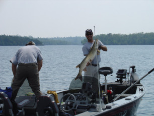 60d2a156-1aa8-4d9f-a495-5245c03c14fb