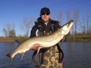 60d63fd5-b63e-4e91-a601-e6599ce9b267