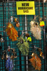 612429CE-ABFA-4923-97F7-43354E8E6340