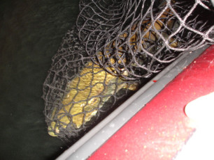 613a80ee-61cc-4692-a7d8-700de7f19abf