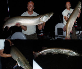 61481310-0260-476B-AB03-C59977383401