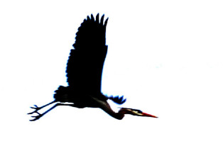 6171688E-AA86-450D-95DD-7EB2C8838584