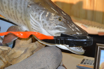 61960677-ADD9-45C6-BF3D-3307A8EAEBD6