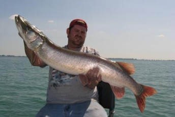 61C0BD74-D3CA-4B53-996F-4C5198C5D05C