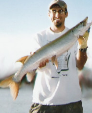 62925C84-5B9E-4E6B-951A-34B82D71139C