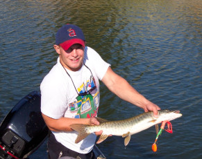 62fd7259-e32c-4d43-ba1b-d10668d3a611