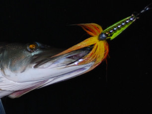 631B7952-D67D-440F-B7FA-0204E6D3923A