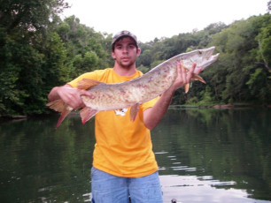 63D8376C-DE3A-4E7B-86D0-B21112B542B6