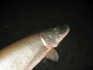 63def8e1-003b-493e-9431-6078a10db488