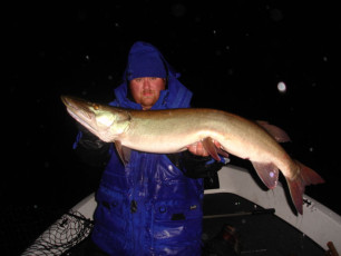 64c5cb2d-581a-4329-91fc-a0f67ed3b4b5