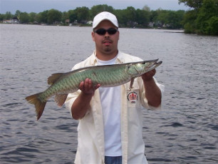 64d9c89a-e05c-4767-8986-45ab104d1f70