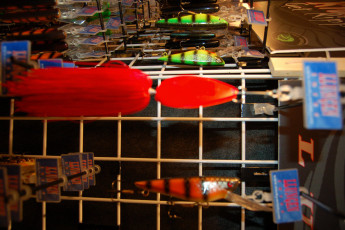 650F93AE-0F93-4C6A-9FF0-A4C305E06C5E