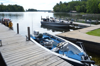 65200D41-0ED8-4DD2-9320-5F1F00F2EB07