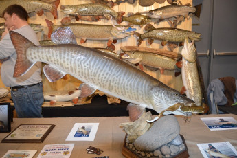 6576CBBB-411F-47F8-AD5A-7116FCF347FC