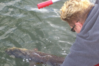 657e1cf4-721f-46a7-8138-1b093622bb33