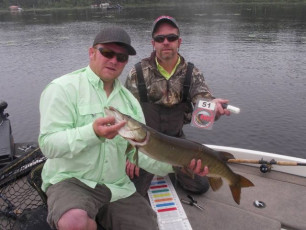 65864A4D-105C-4570-8899-EE5B61255209