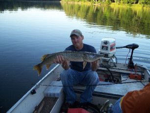 65879439-3A5D-4BC8-BAB9-DDABB1C6867B