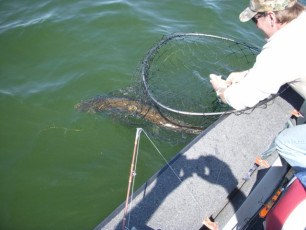 66D22E12-5D45-418B-8890-0897B3147349